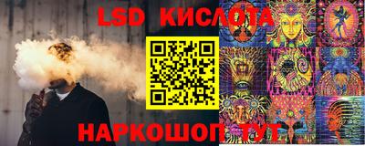 крисы Пенза