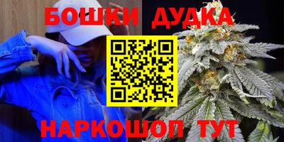 крисы Пенза