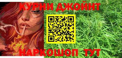 крисы Пенза