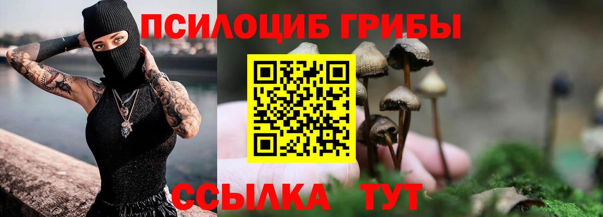 Галлюциногенные грибы мухоморы  Галлюциногенные грибы ЛСД  Спасск-Дальний  Вход с VPN 