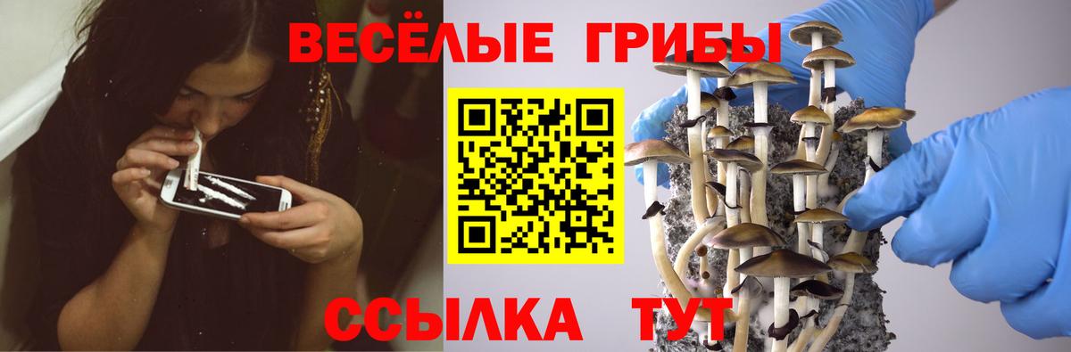 Галлюциногенные грибы ЛСД Спасск-Дальний